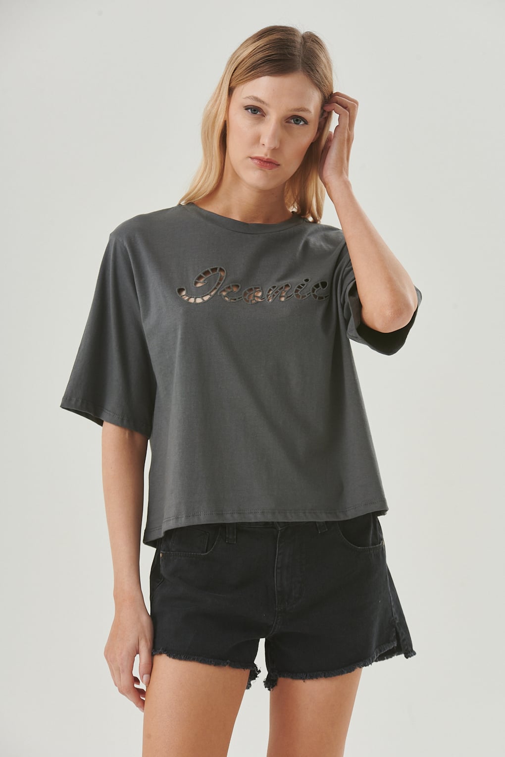 remera algodon bordada
